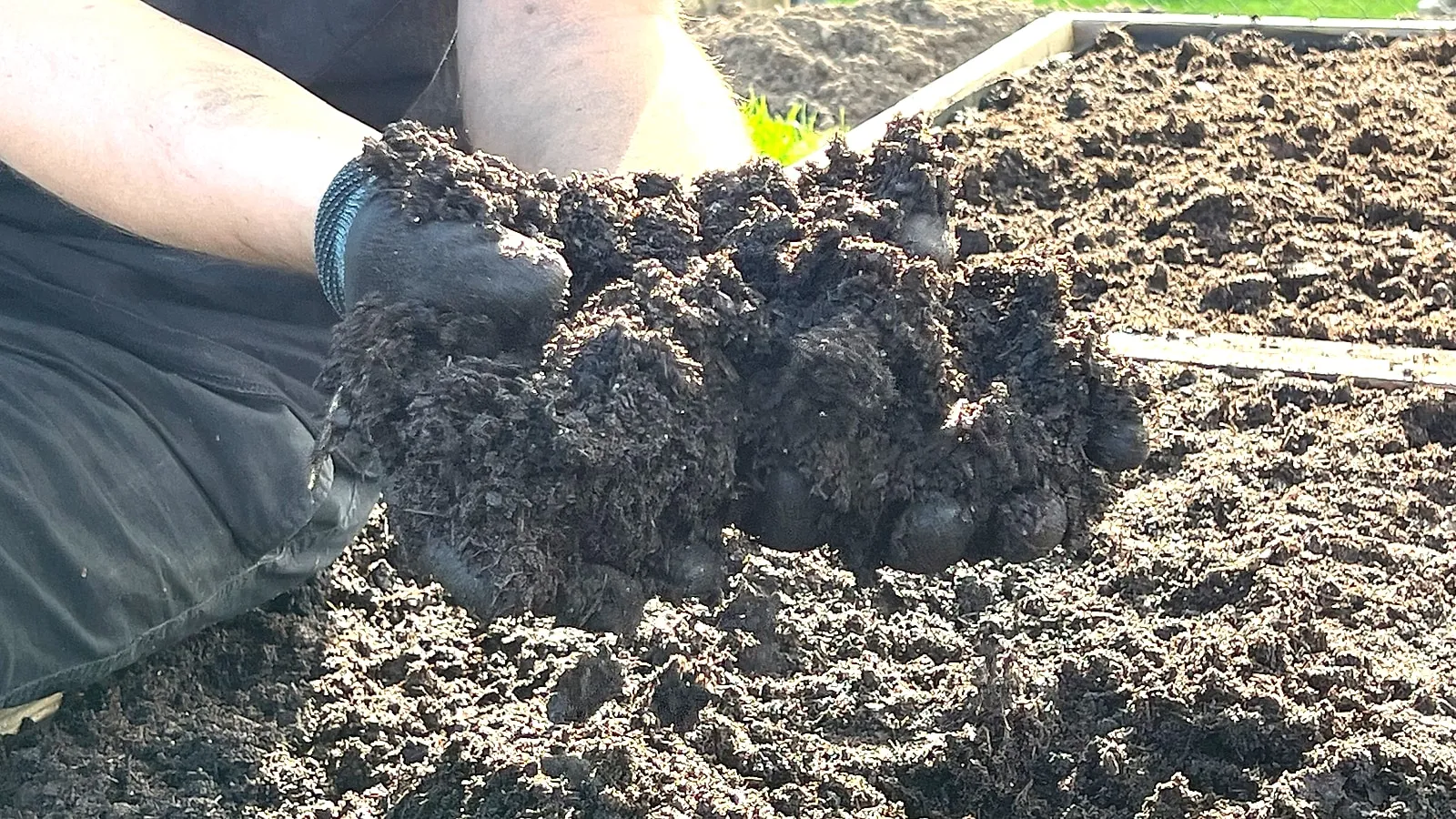 Living, organic-ecological soil from our substrate research