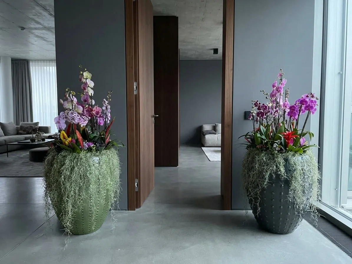 Refined living space with orchid statement arrangements