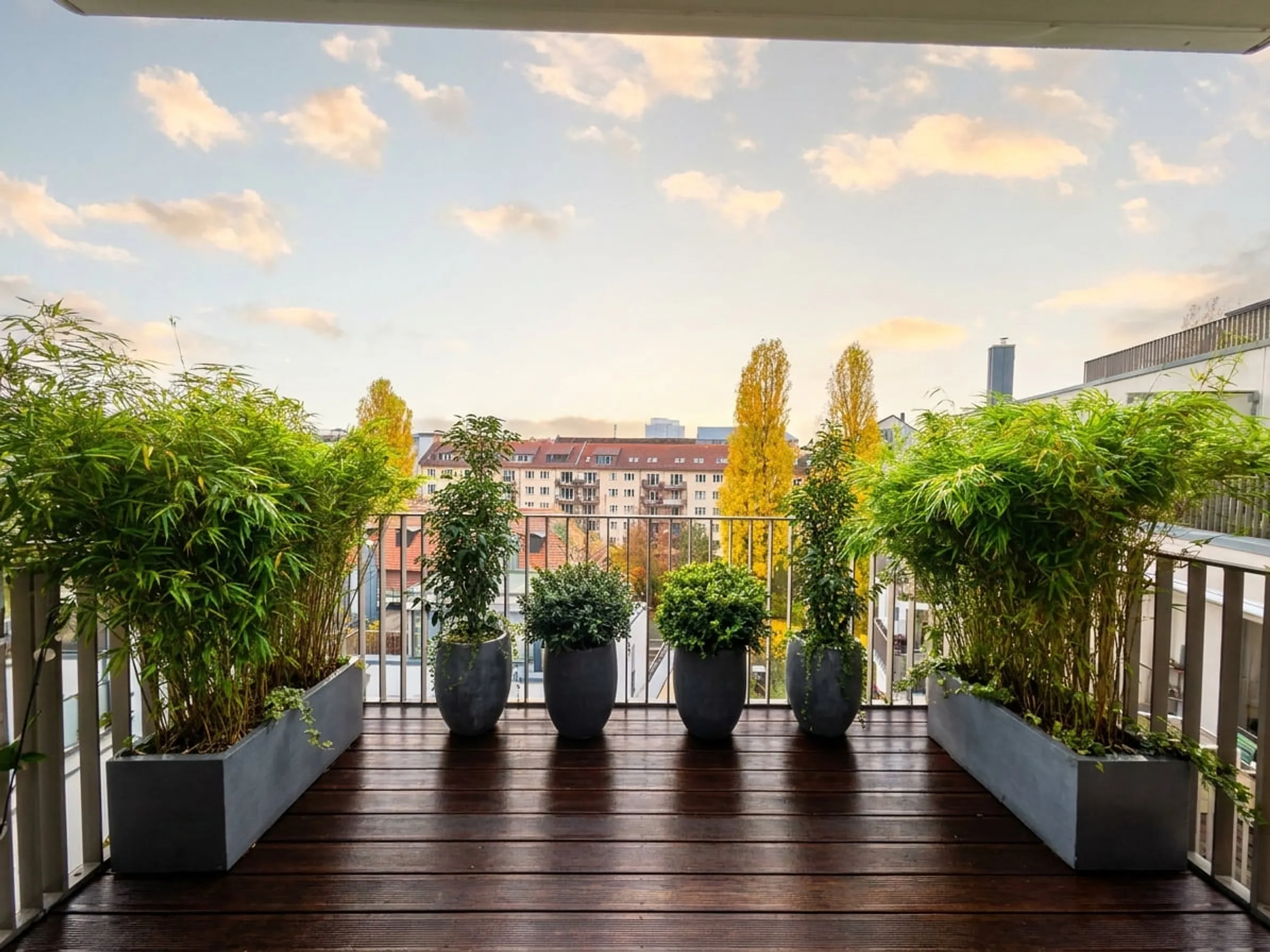 Hong Kong rooftop terrace at golden hour with curated subtropical planting and harbour view