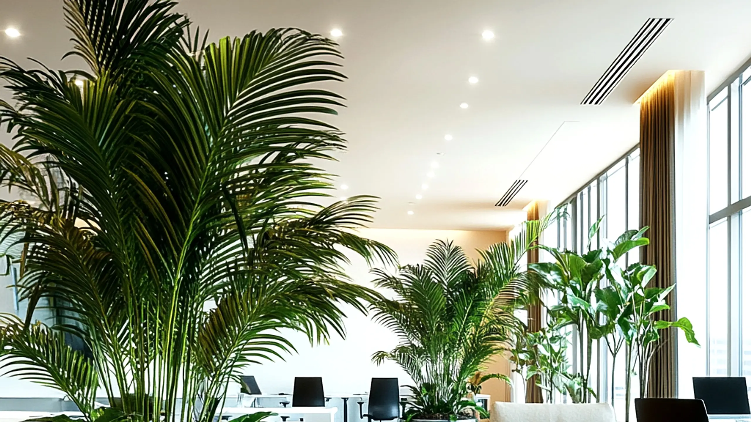 Modern office greening with plants and moss wall