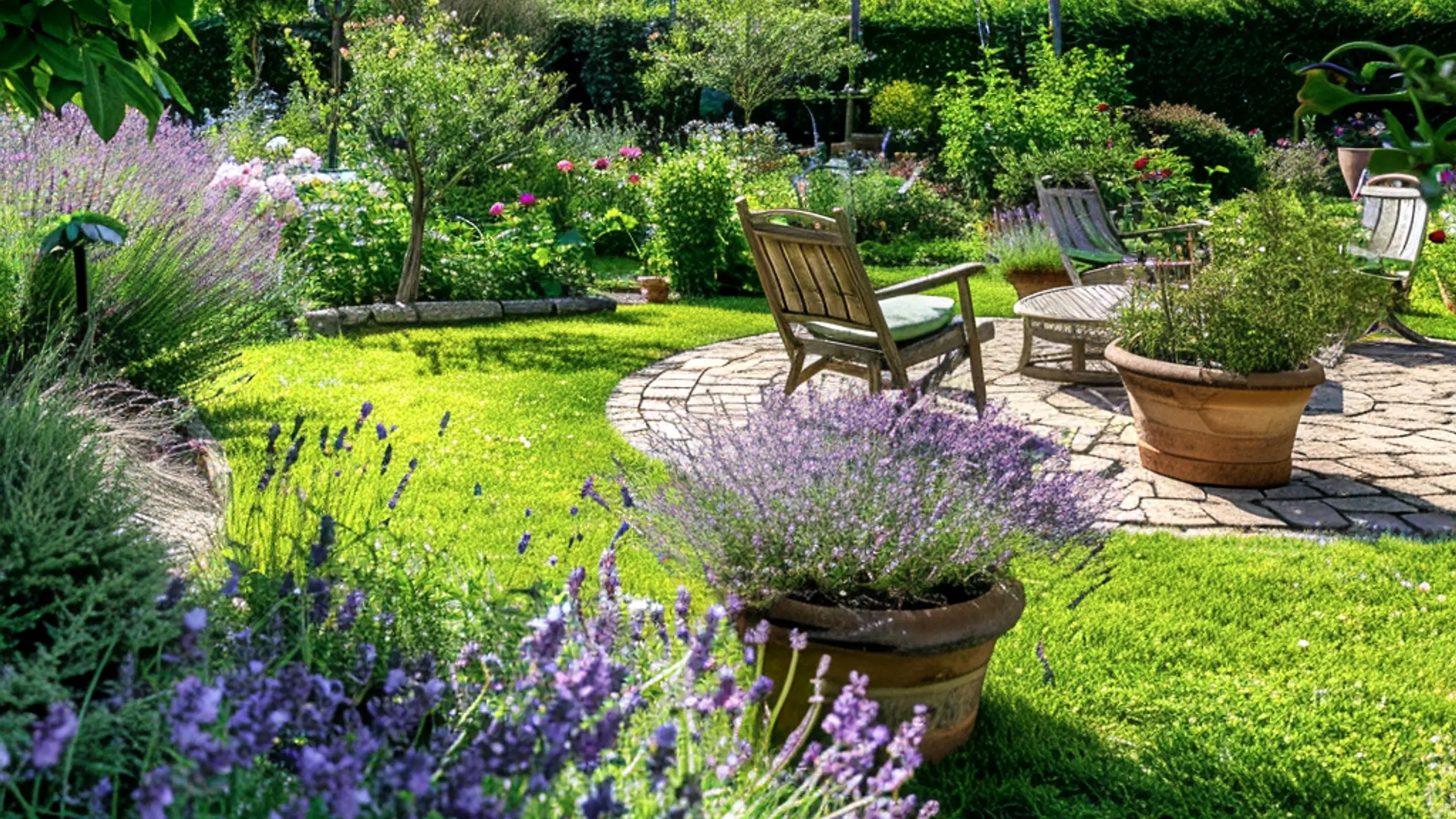 Holistic plant care on a green rooftop terrace